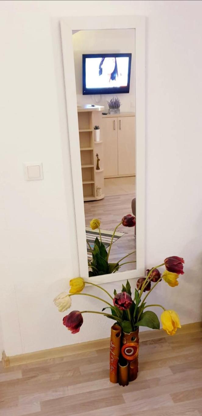Ferienwohnung Castelului 2 Brașov Zimmer foto